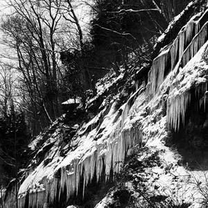 Meet your Posher, Bobbie